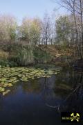 Restloch Erzkörper 7 im Revier Callenberg, Granulitgebirge, Sachsen, (D) (34) 31. Oktober 2013.JPG